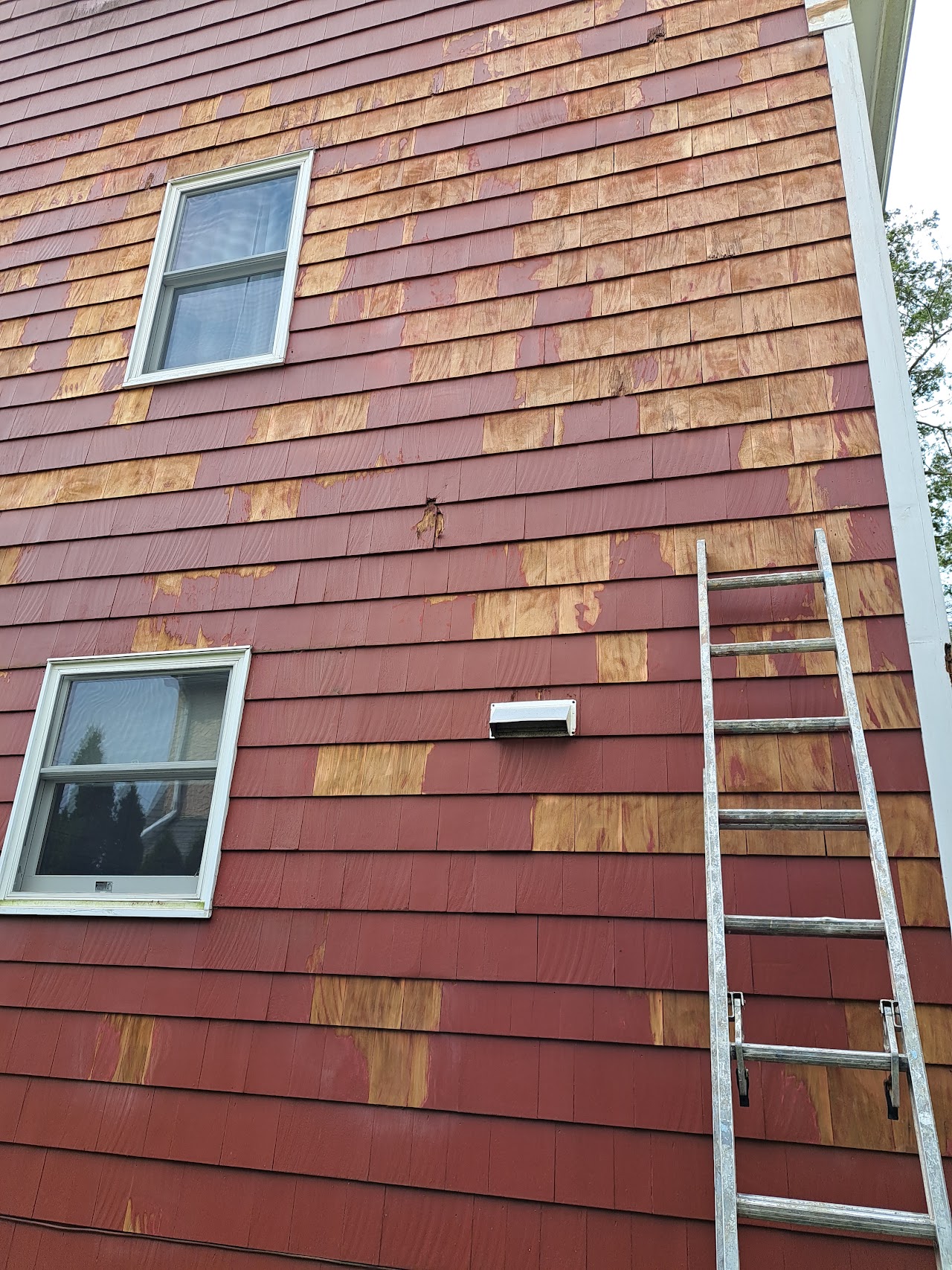 Benny The King Of The Roll — Expert painter and handyman in White Plains, NY