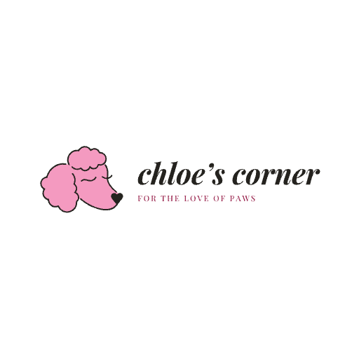 Chloe's Corner Pet Sitting project photo from Scottsdale