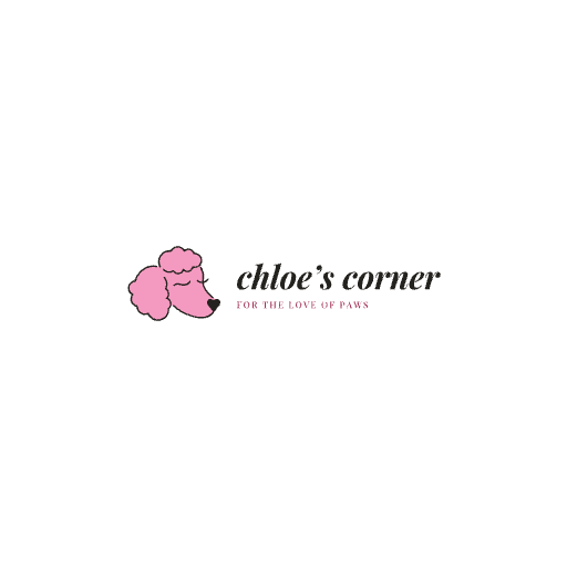 Chloe's Corner Pet Sitting project photo from Scottsdale