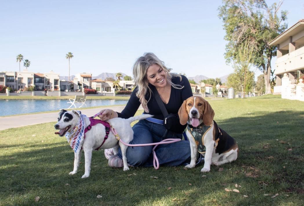 Overnight Pet Care service photo