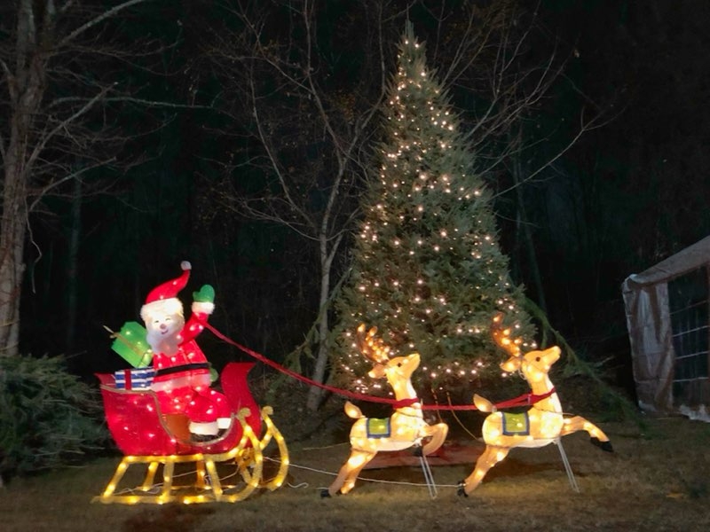 Inside Jenkins Family Christmas Trees in Billerica