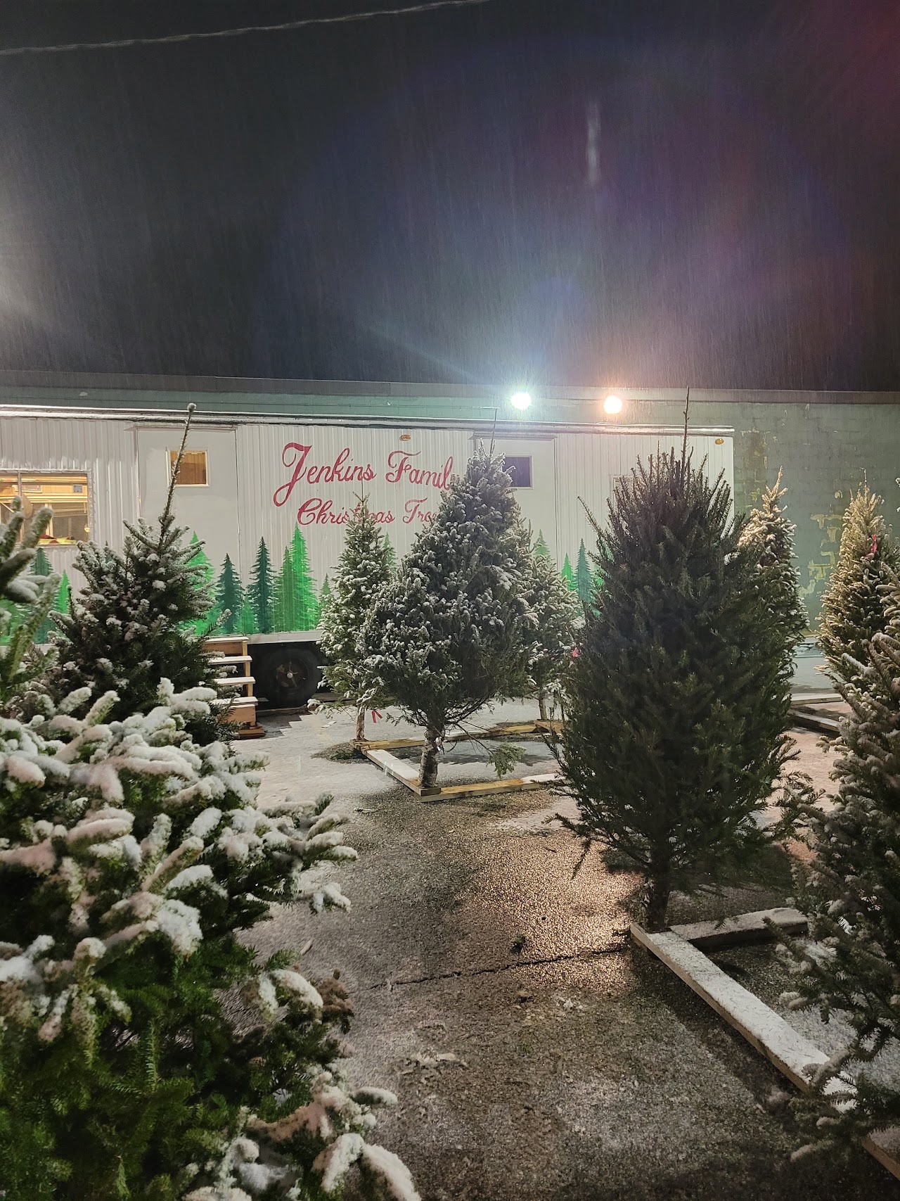 Jenkins Family Christmas Trees project photo from Billerica