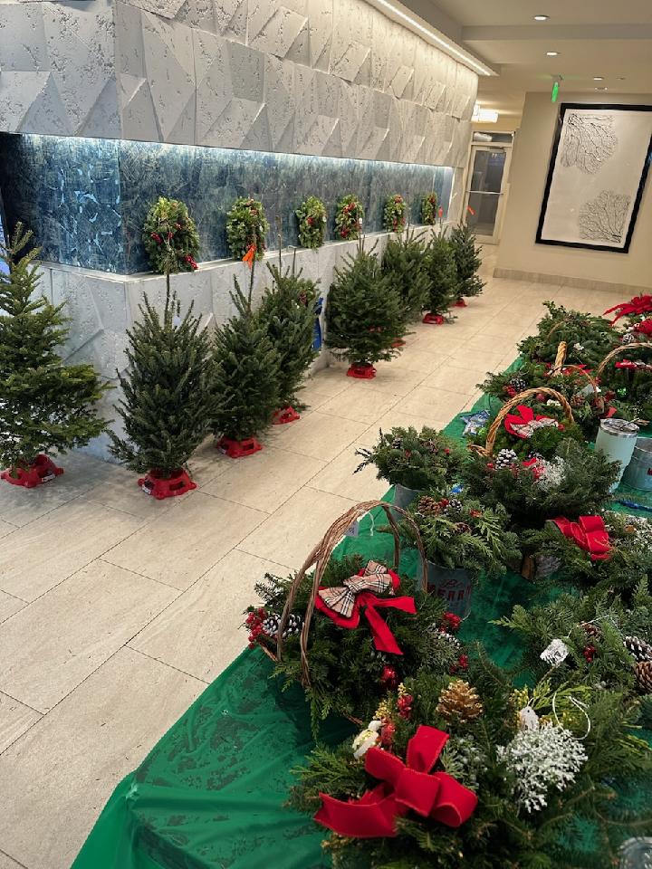Jenkins Family Christmas Trees project photo from Billerica
