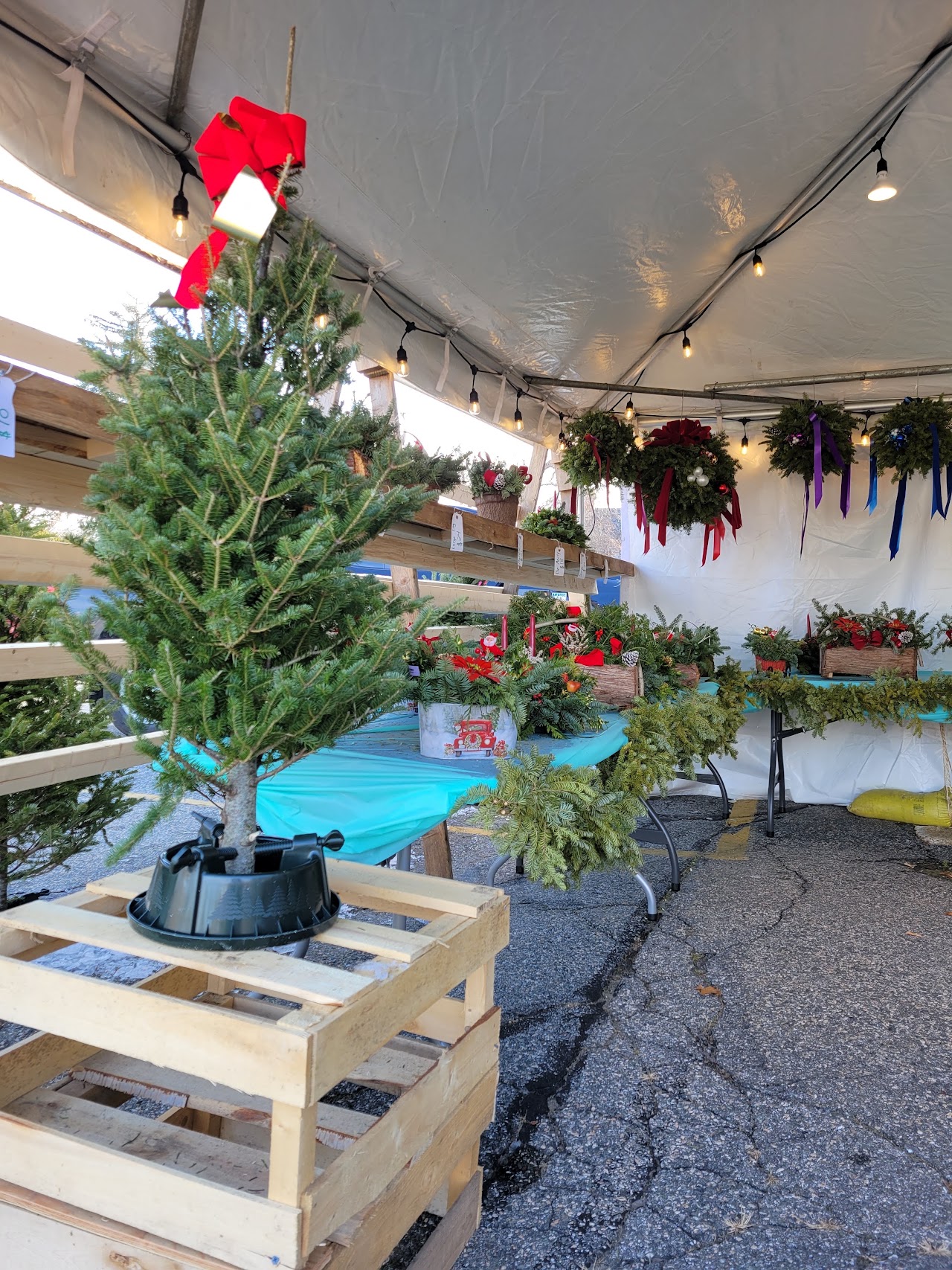 Gift Boxes & Holiday Arrangements service photo