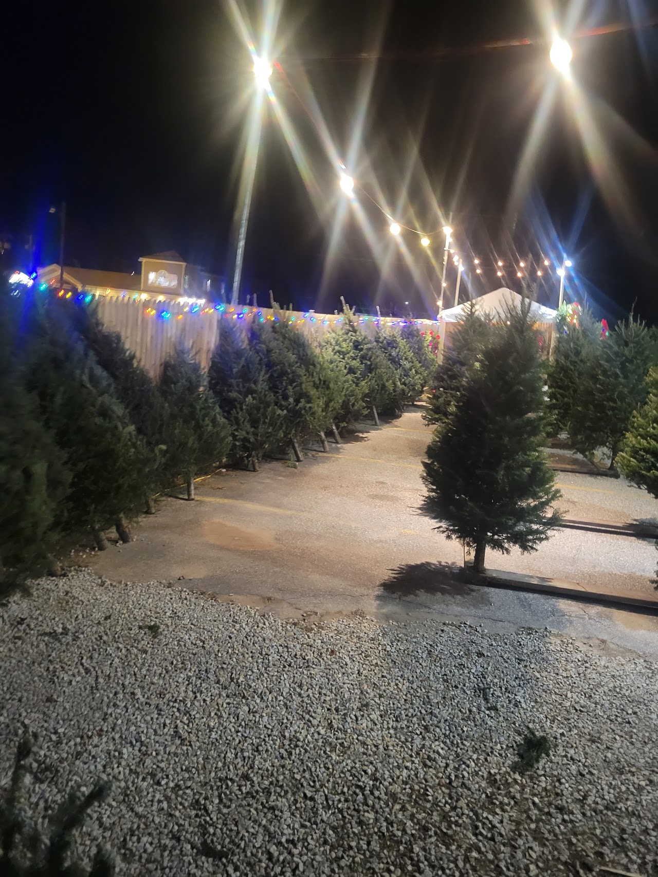 Tree Decorating Services service photo
