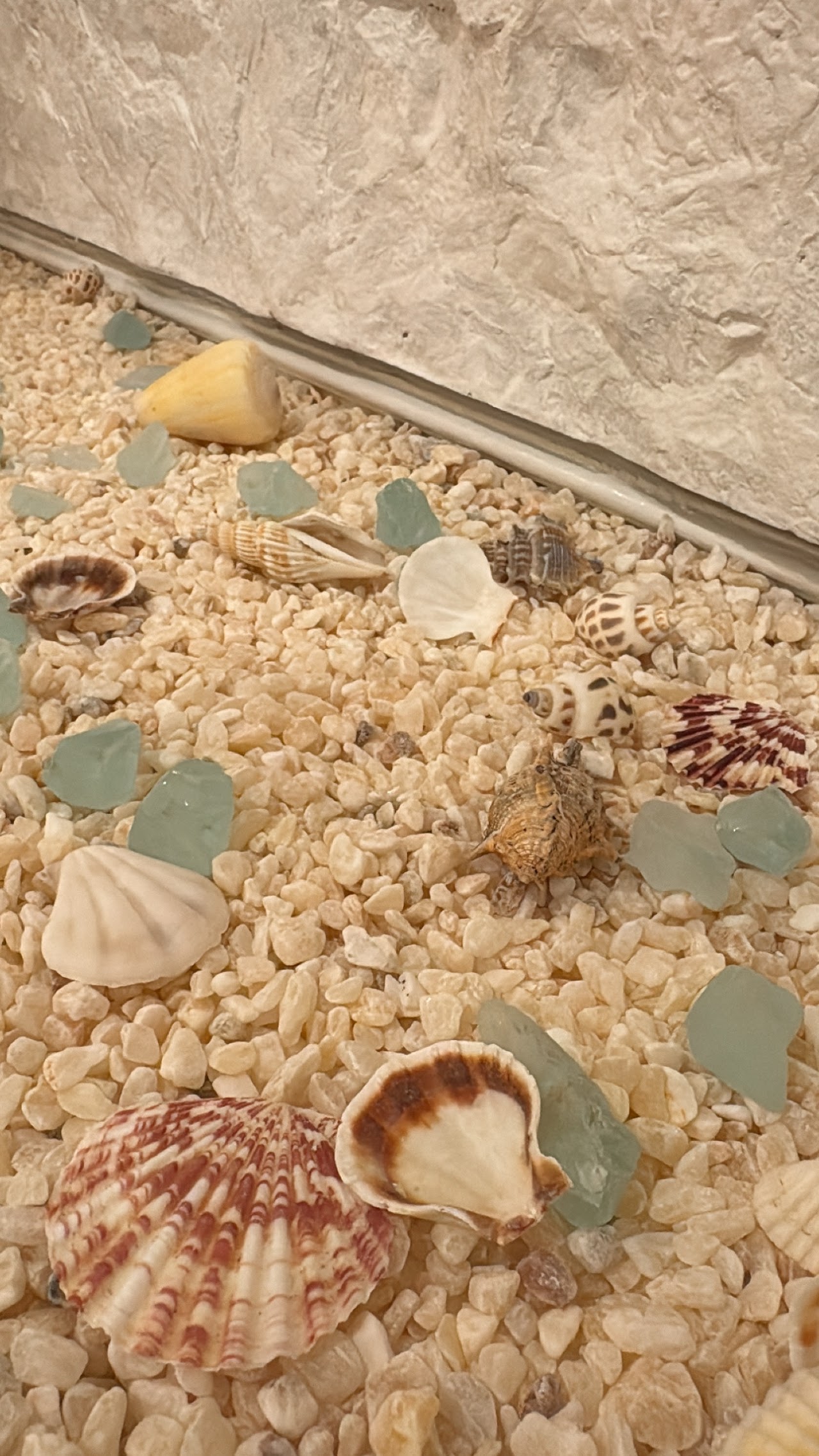 Inside MATI STUDIO in Brookline