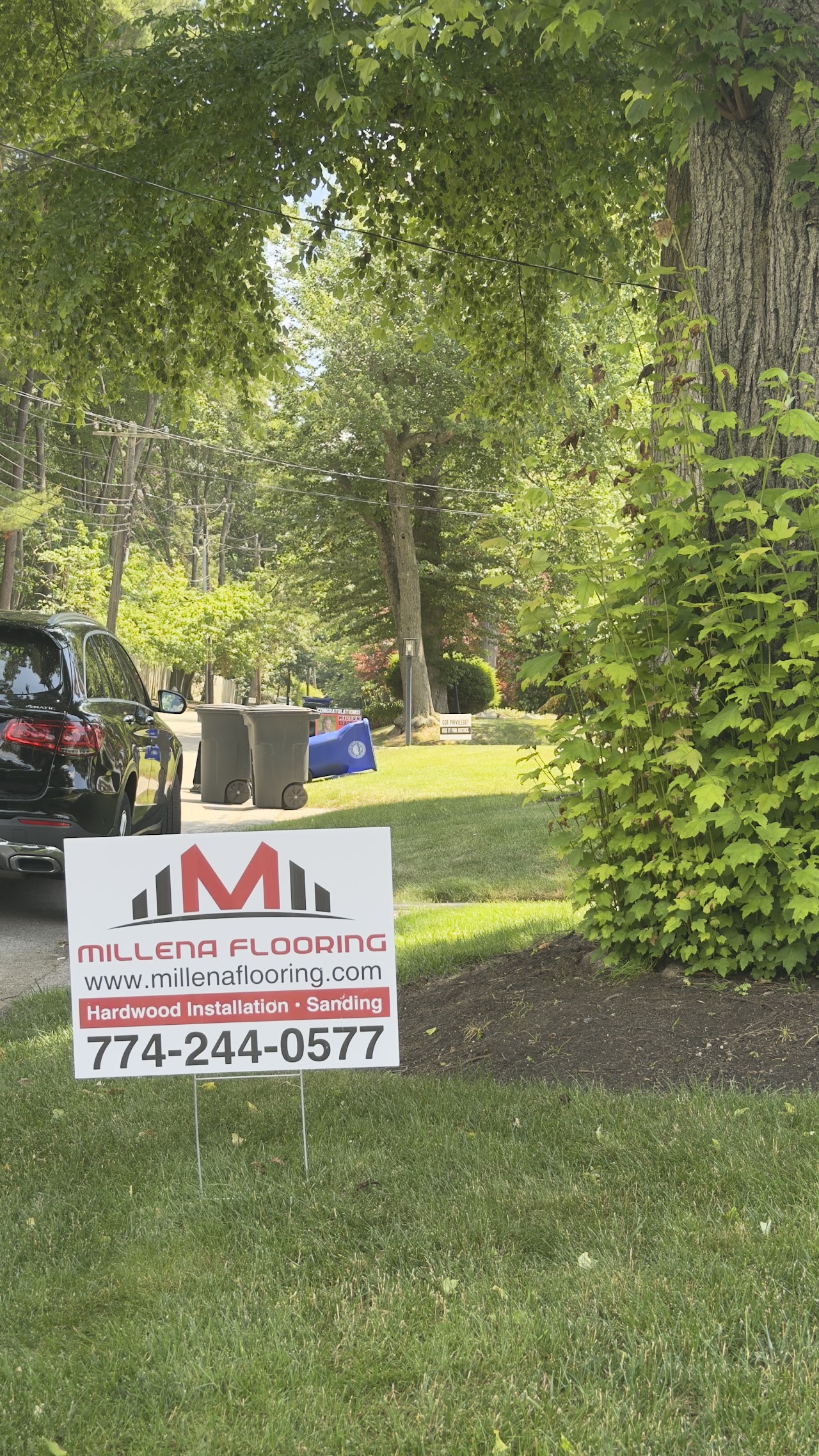 Carpet Installation service photo